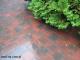 Amstel (tm), kolor jaspis grafitowy, podczas deszczu